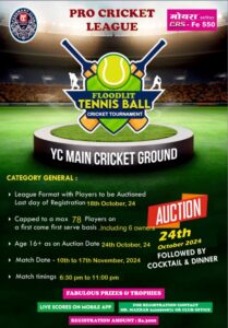 Pro Cricket League at YC 2024